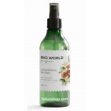 Парфюмированный мист Gourmand-Musky BIO WORLD 250 мл — купить спрей с ароматом инжира и бергамота в ЛНР оптом